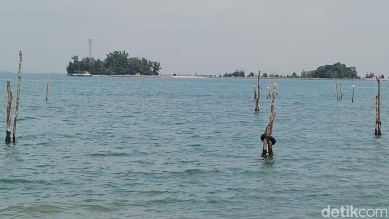 BMKG Peringatkan Potensi Banjir Rob di Pesisir Indonesia 12-19 Februari 2026