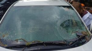 Pohon Besar Tumbang di TB Simatupang, Timpa Mobil Honda HR-V hingga Kaca Depan Pecah