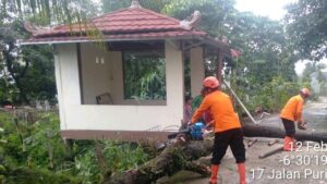 Pohon Tumbang Akibat Hujan Angin di Cibinong Timpa Tiga Rumah Warga