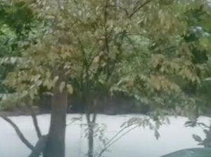 20 Ton Pestisida Cemari Sungai Cisadane Akibat Kebakaran Gudang PT Biotek Saranatama