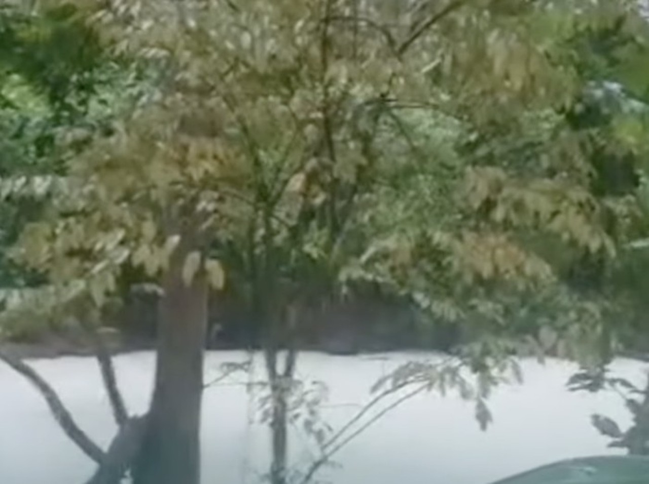 20 Ton Pestisida Cemari Sungai Cisadane Akibat Kebakaran Gudang PT Biotek Saranatama