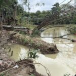 Longsor Hutan Bambu Bekasi: Warga Ceritakan Proses Tanah Amblas Akibat Pengosongan Debit Air