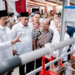 Kemensos Berdayakan KPM dengan Ayam Petelur, Targetkan Pendapatan Tambahan Rp 500 Ribu per Bulan