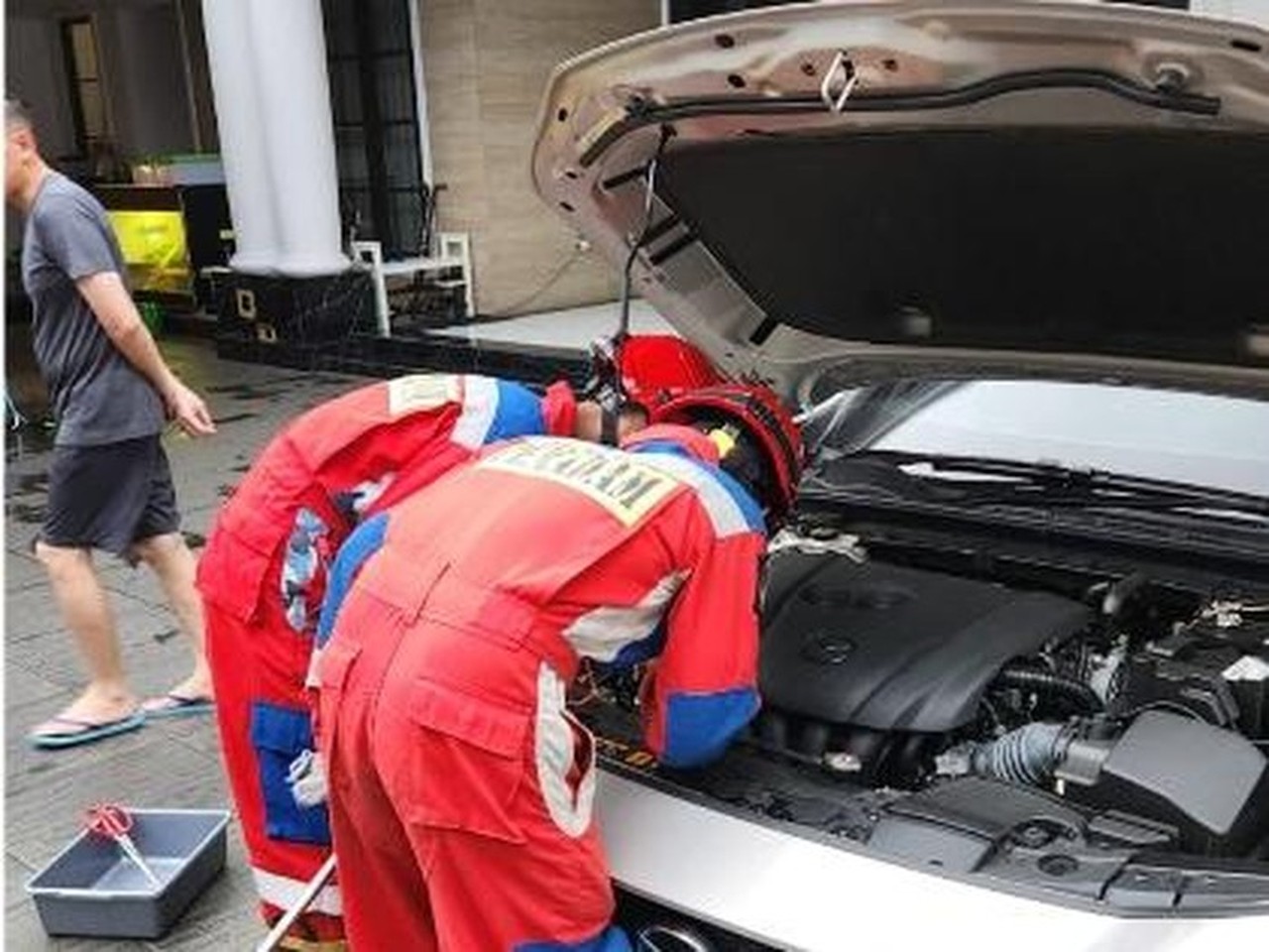 Sanca Albino Milik Warga Jaktim Ditemukan Bersembunyi di Kap Mobil