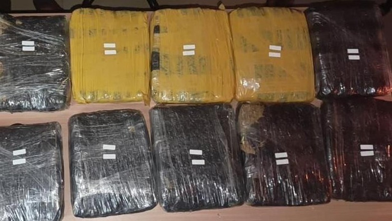 Polda Metro Jaya Sita 15,5 Kg Ganja dari Tiga Pria di Tanah Abang dan Pamulang