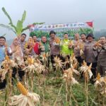 Polisi Bogor Panen 1 Ton Jagung Dukung Program Ketahanan Pangan Presiden Prabowo