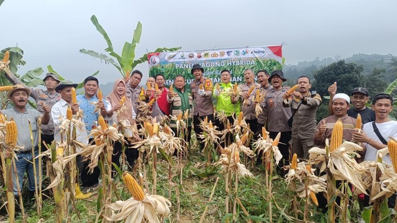 Polisi Bogor Panen 1 Ton Jagung Dukung Program Ketahanan Pangan Presiden Prabowo Polisi Bogor Panen 1 Ton Jagung Dukung Program Ketahanan Pangan Presiden Prabowo