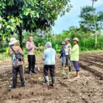 Ipda Subamia: Inisiator Budidaya Jahe Gajah Dongkrak Ekonomi Petani Bangli