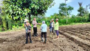 Ipda Subamia: Inisiator Budidaya Jahe Gajah Dongkrak Ekonomi Petani Bangli