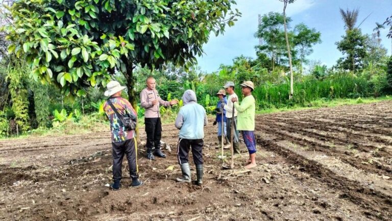 Ipda Subamia: Inisiator Budidaya Jahe Gajah Dongkrak Ekonomi Petani Bangli