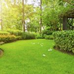 Viral Aksi Mesum di Taman Ciracas, Satpol PP DKI Imbau Warga Jaga Ruang Publik