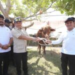 Presiden Prabowo Sumbang Rp 72 Miliar untuk Daging Sapi Warga Aceh Pascabencana