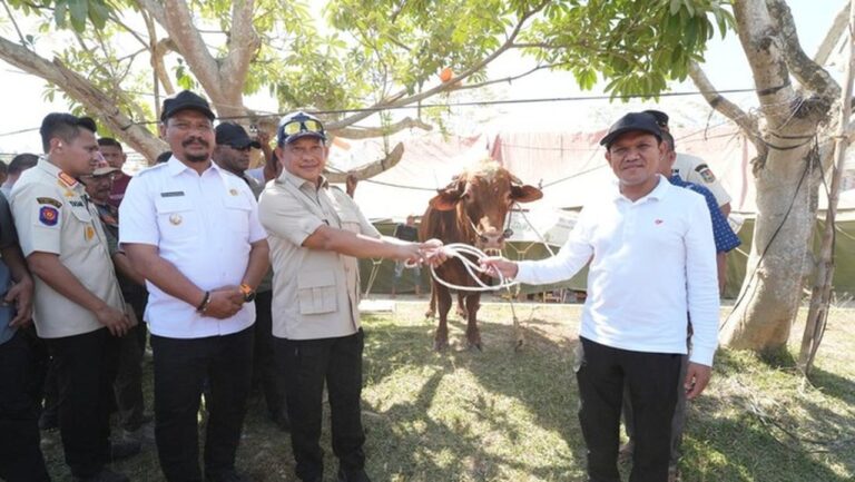 Presiden Prabowo Sumbang Rp 72 Miliar untuk Daging Sapi Warga Aceh Pascabencana