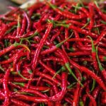 Gubernur DKI Jakarta Siapkan Strategi Atasi Lonjakan Harga Cabai Keriting Akibat Hujan