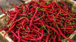 Gubernur DKI Jakarta Siapkan Strategi Atasi Lonjakan Harga Cabai Keriting Akibat Hujan