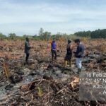 Pembakar Lahan di Bengkalis Ditangkap, Akui Sengaja Bakar untuk Usir Sarang Tawon
