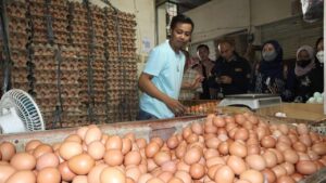 Satgas Saber Pangan Polres Jakbar Temukan Kenaikan Harga Bahan Pokok di Pasar Kebon Jeruk