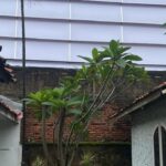 Warga Cilandak Keluhkan Bising Lapangan Padel Tembus Kamar, Pemprov DKI Janjikan Tindakan