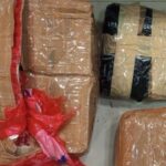 Polda Metro Jaya Ringkus Pengedar Narkoba di Bekasi, Sita 1,3 Kg Ganja