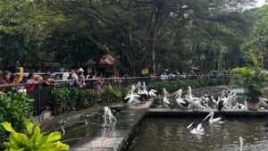 Jadwal Lengkap Taman Margasatwa Ragunan Selama Ramadan 2026, Termasuk Harga Tiket