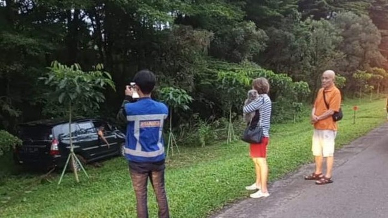 Minibus Masuk Rerumputan Tol Jagorawi Km 39, Diduga Akibat Sopir Mengantuk Minibus Masuk Rerumputan Tol Jagorawi Km 39, Diduga Akibat Sopir Mengantuk