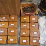 Polda Metro Jaya Sita 18 Kg Ganja dari Pengedar di Jakarta Barat