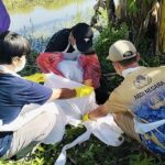 Dua Bocah Kakak-Adik di Polman Diserang Kawanan Anjing Liar, Warga Terkejut Dapati Korban