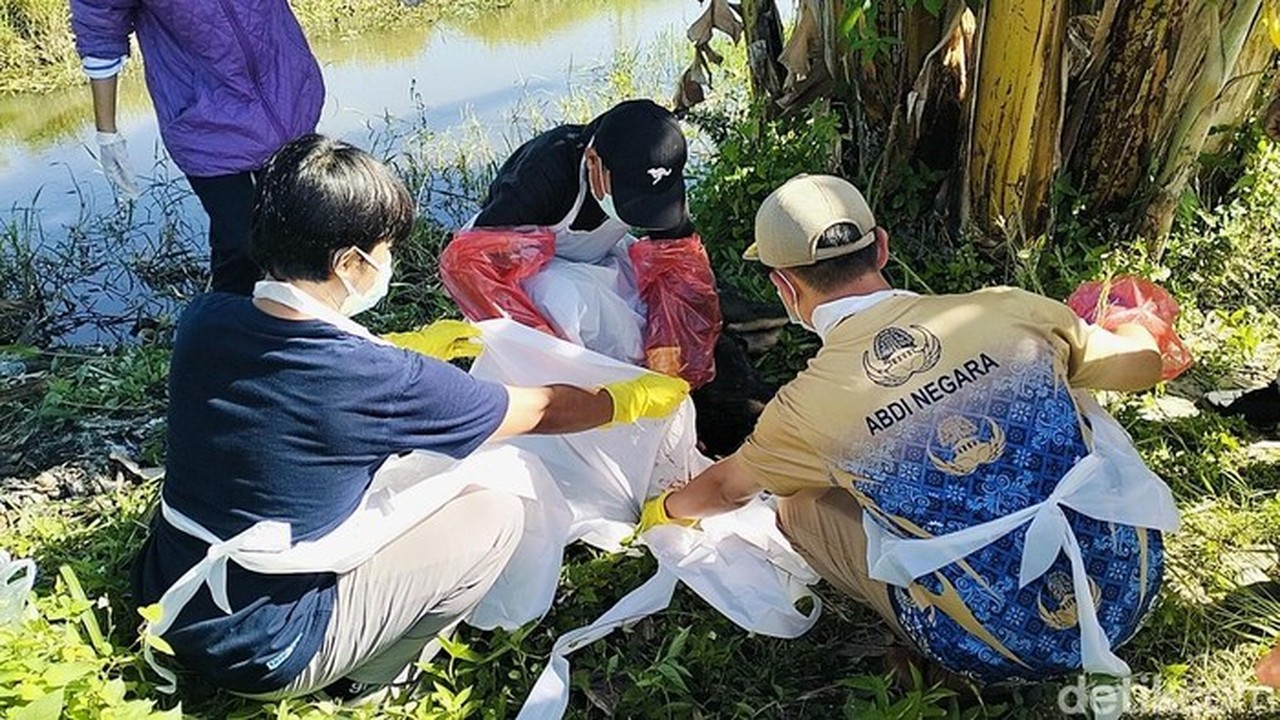 Dua Bocah Kakak-Adik di Polman Diserang Kawanan Anjing Liar, Warga Terkejut Dapati Korban