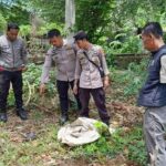 Santriwati di Mamuju Buang Bayi Hasil Hubungan di Luar Nikah Setelah Ditinggal Pacar Menikah