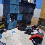 Kisah Pilu Balita Surabaya: Dianiaya Paman-Bibi, Diberi Makan Kucing hingga Disumpal