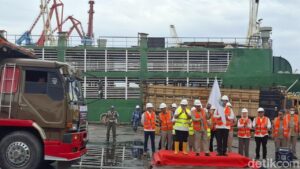 Pemprov DKI Jakarta Impor 3.100 Sapi dari Australia untuk Stabilisasi Harga Pangan