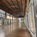 Warga Keluhkan Kotoran Kucing Berserakan di Skywalk Kebayoran Lama, Sepatu Sering Tercemar