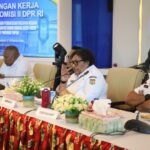 Wamendagri Ribka Haluk: PLBN Papua Harus Jadi Motor Penggerak Kesejahteraan Ekonomi Lokal