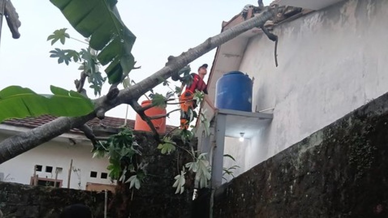 Angin Kencang Robohkan Pohon 15 Meter, Atap Rumah di Bogor Rusak