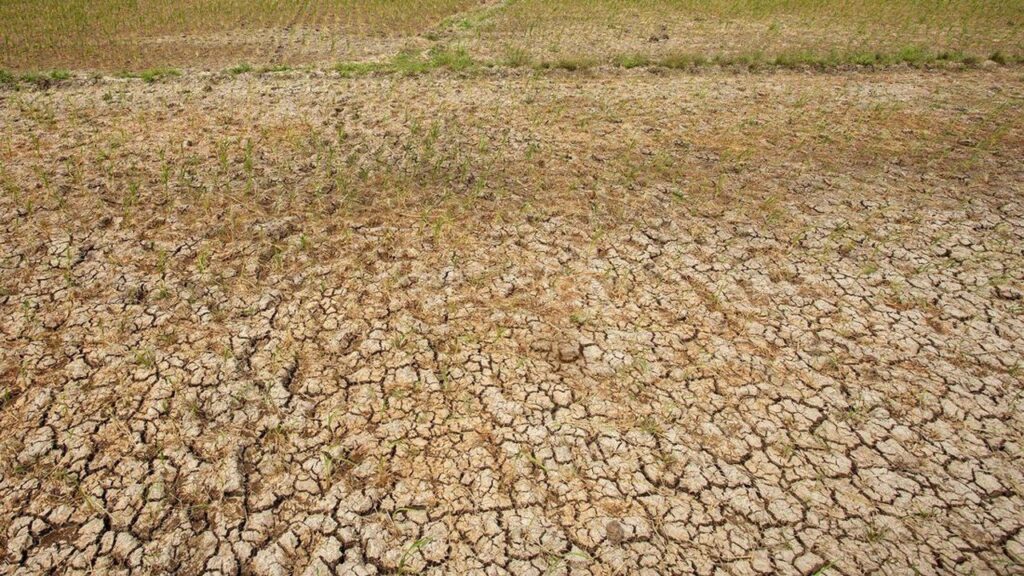 Banten Siapkan Pompa Air Untuk Antisipasi Kekeringan El Nino