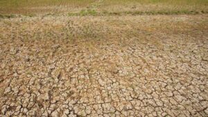 Banten Siapkan Pompa Air Untuk Antisipasi Kekeringan El Nino