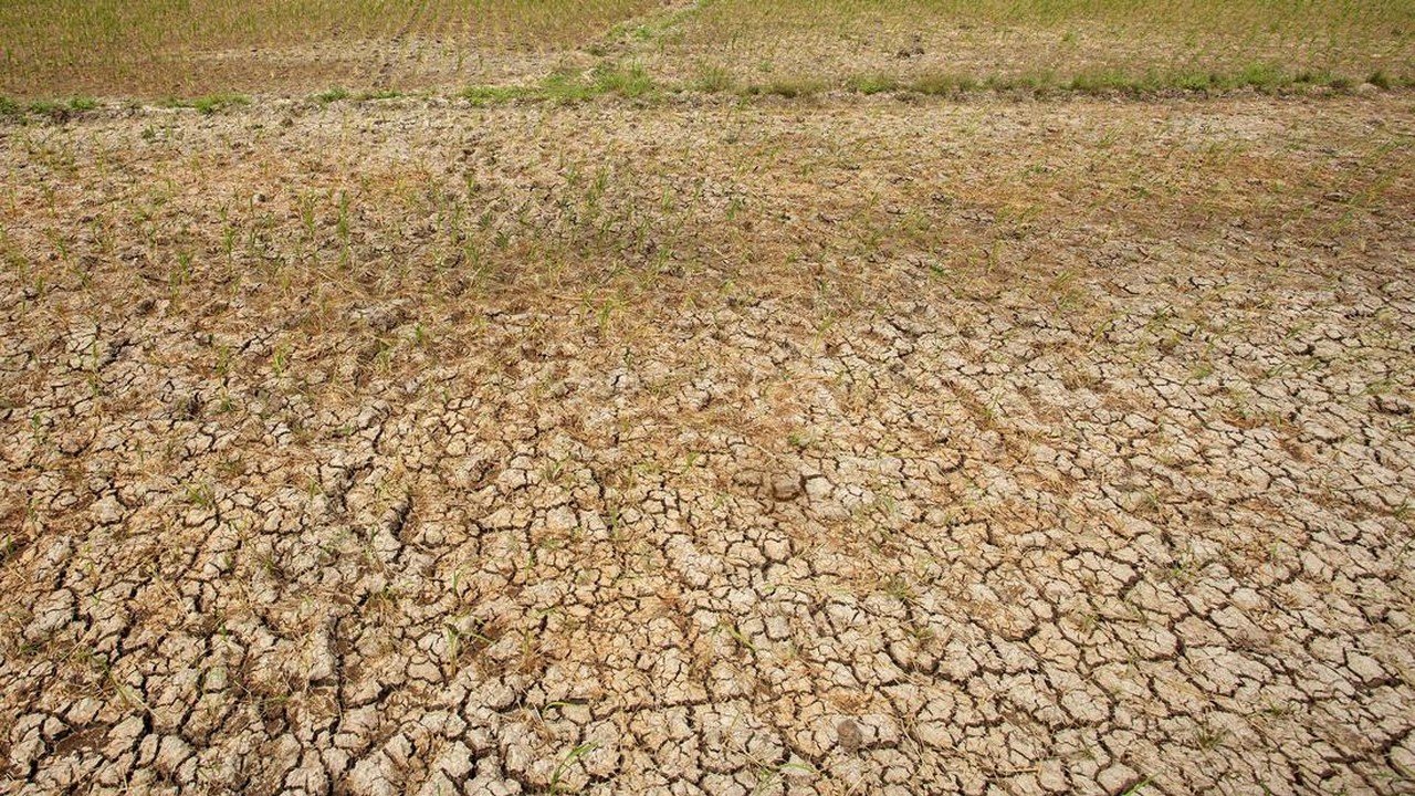 Banten Siapkan Pompa Air Untuk Antisipasi Kekeringan El Nino