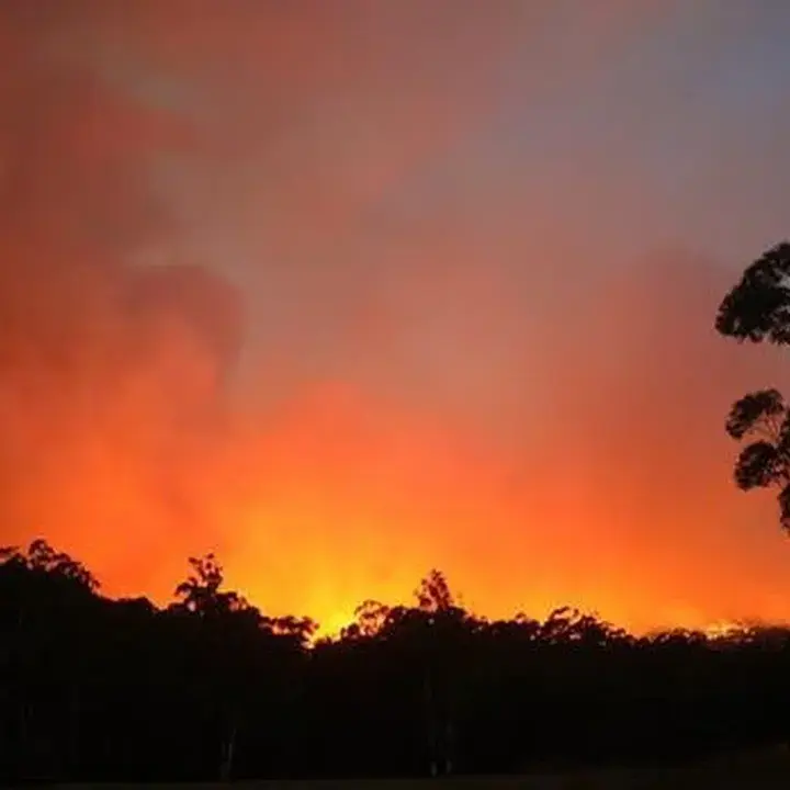 Black Saturday: Api Mengerikan yang Melahap Victoria, Australia