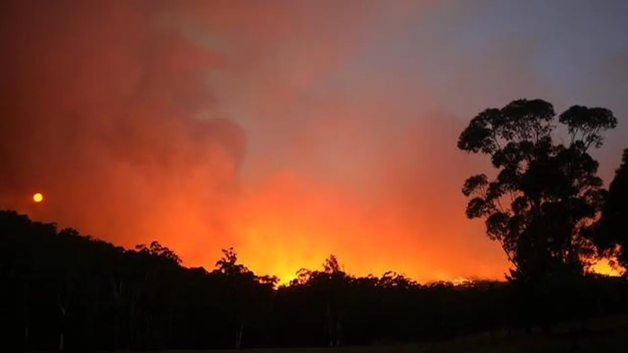 Black Saturday: Api Mengerikan yang Melahap Victoria, Australia