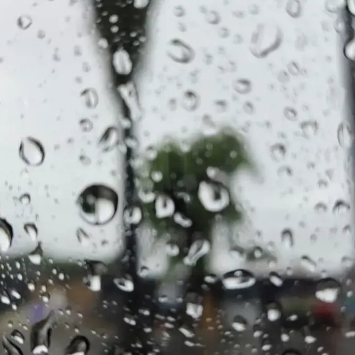Bogor Diguyur Hujan, Harapan Meredakan Kekeringan Menguat