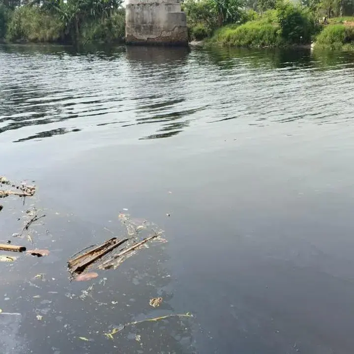 DLHK Banten Sebut Limbah Domestik dan Perusahaan Picu Pencemaran di Sungai Ciujung