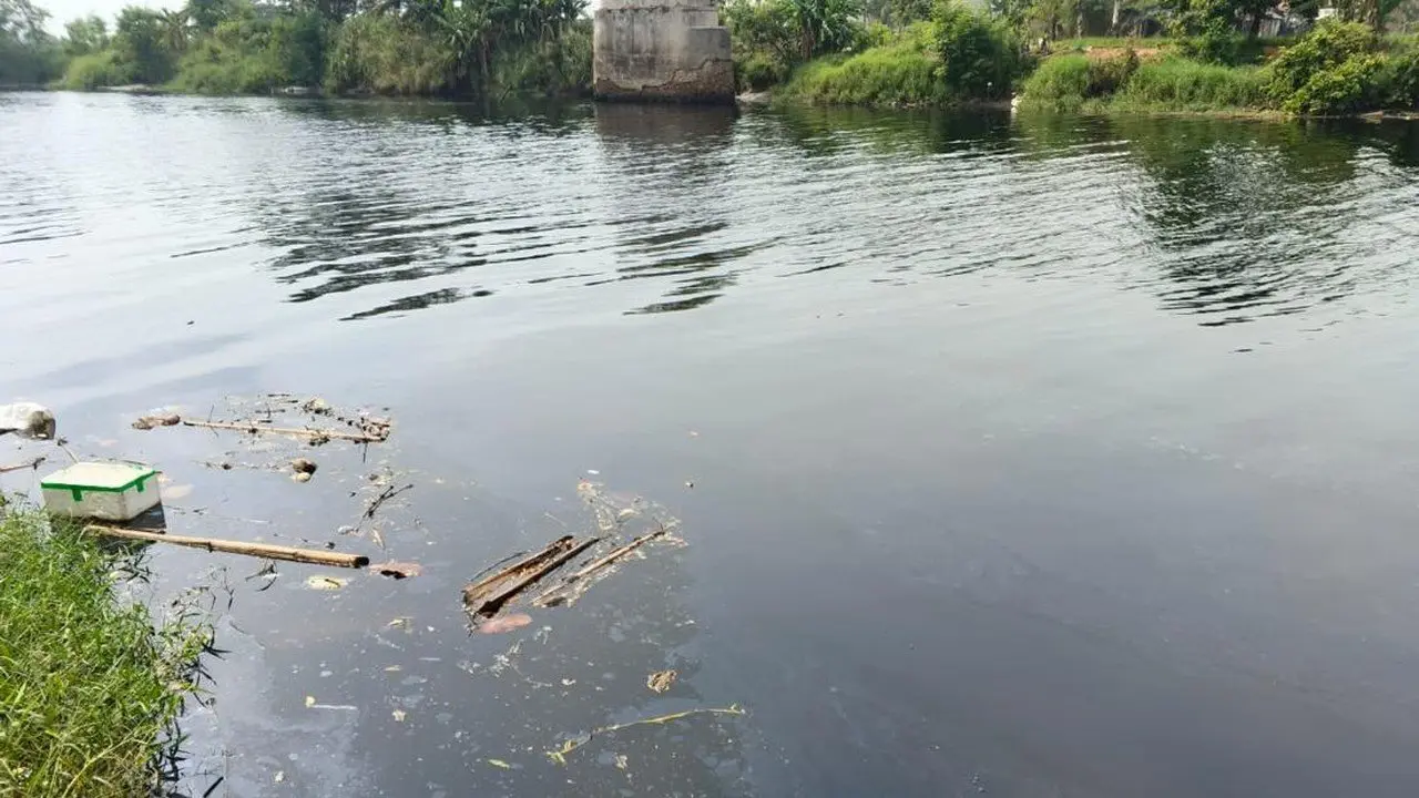 DLHK Banten Sebut Limbah Domestik dan Perusahaan Picu Pencemaran di Sungai Ciujung