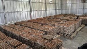 Warga Binaan Lapas Ciangir Dapat Premi Rp 800 Ribu Per Bulan Dari Program Peternakan