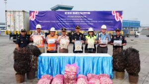 JICT Gandeng Bea Cukai Percepat Penyelesaian Kontainer Longstay untuk Tingkatkan Efisiensi Pelabuhan