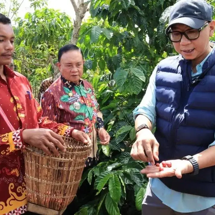 Gubernur Lampung Perkenalkan Pupuk Hayati Cair di Hanakau Untuk Tingkatkan Produktivitas Kopi