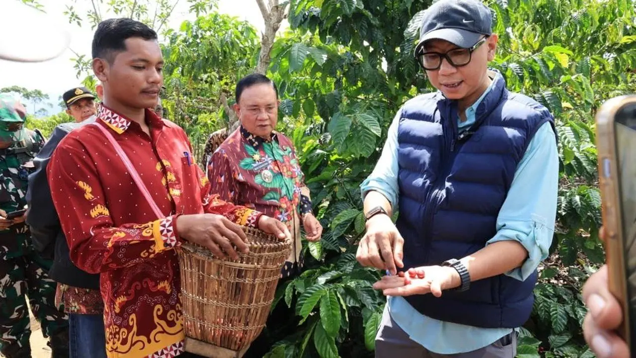 Gubernur Lampung Perkenalkan Pupuk Hayati Cair di Hanakau Untuk Tingkatkan Produktivitas Kopi