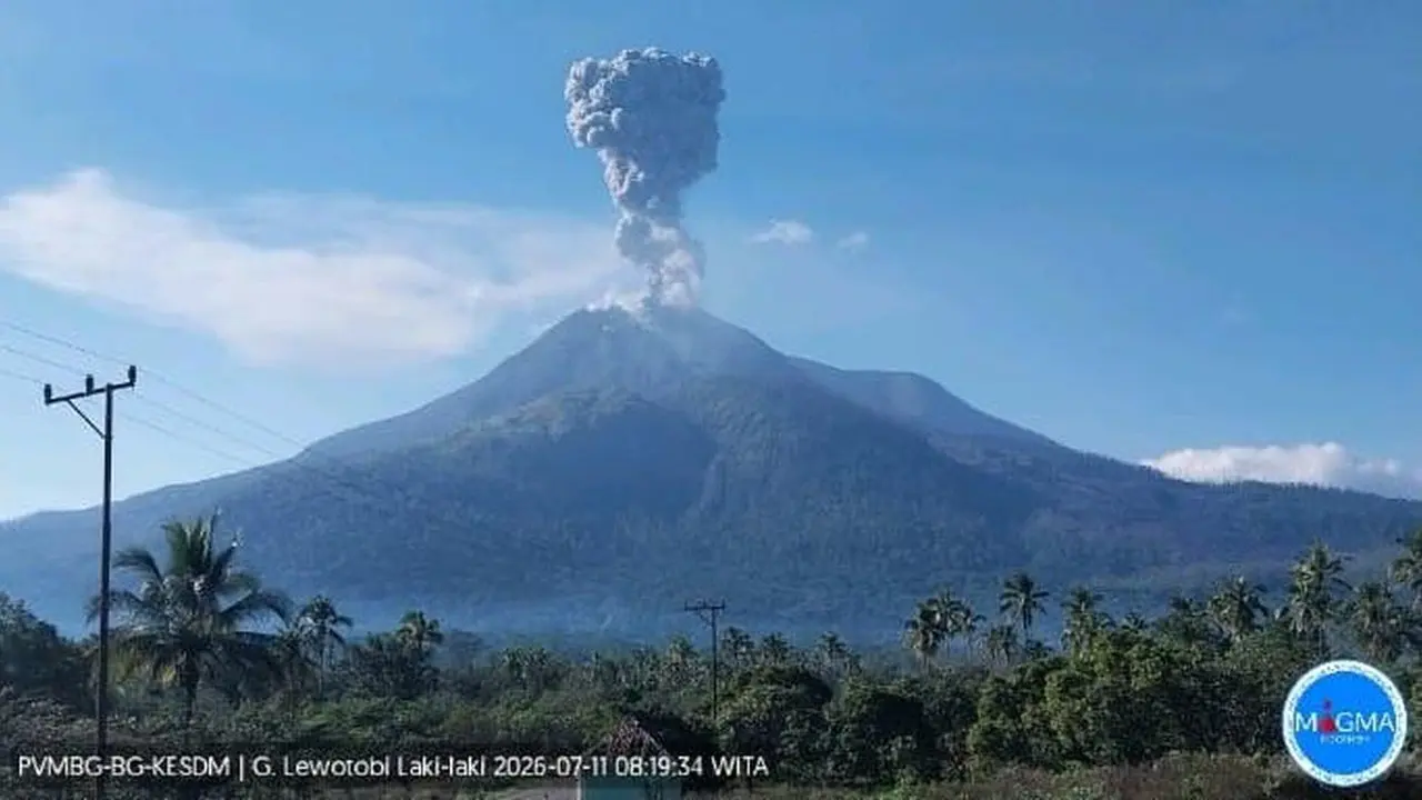 Gunung Lewotobi Laki-laki Kembali Erupsi, Kolom Abu Capai 1.600 Meter