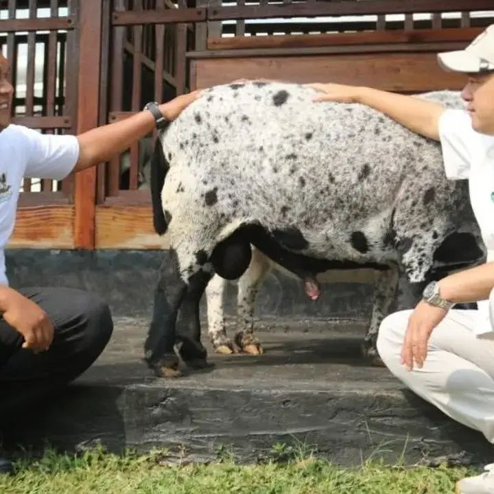 Irfan Hakim Terharu Lihat Pembinaan Warga Binaan di Lapas Karawang