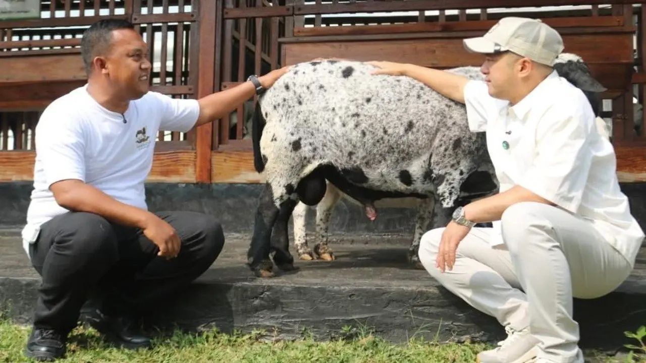 Irfan Hakim Terharu Lihat Pembinaan Warga Binaan di Lapas Karawang