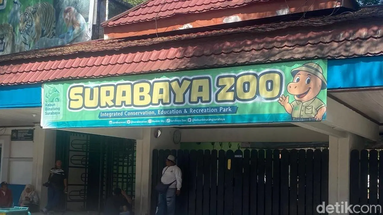 Kasus Korupsi Pakan Satwa Rp 10,2 Miliar, Pihak KBS Pastikan Ketersediaan Pakan Hewan Aman